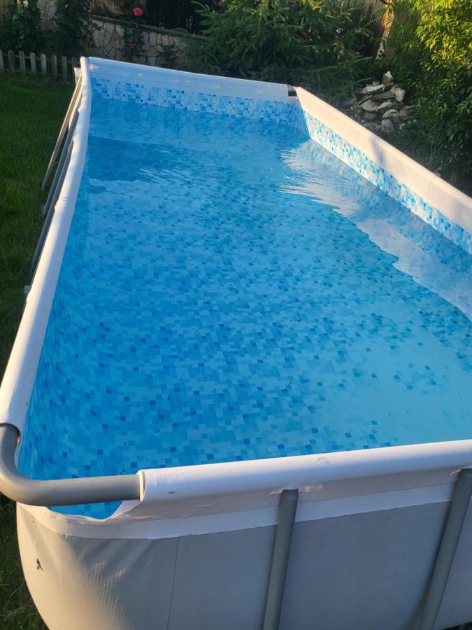 サトゥ・マーレ Vila Ana Cu Terasa Gratar Si Jacuzziヴィラ エクステリア 写真
